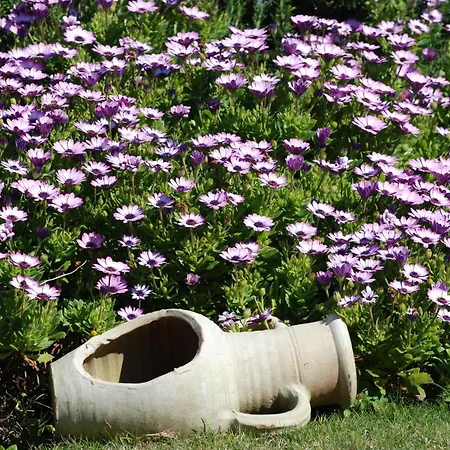 Le Sabbie Ξενοδοχείο Calasetta