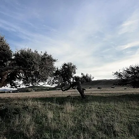 Le Sabbie Hotel Calasetta